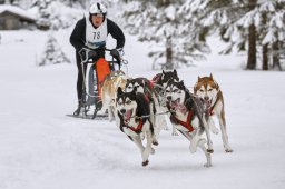 Kandersteg 2014 WM