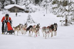 Kandersteg 2014 WM