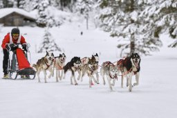 Kandersteg 2014 WM
