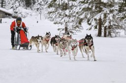 Kandersteg 2014 WM