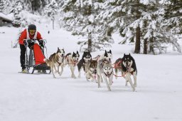 Kandersteg 2014 WM