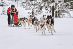 Kandersteg 2014 WM
