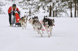 Kandersteg 2014 WM