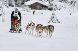 Kandersteg 2014 WM