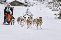 Kandersteg 2014 WM
