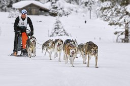Kandersteg 2014 WM