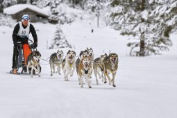 Kandersteg 2014 WM