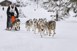 Kandersteg 2014 WM
