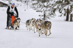 Kandersteg 2014 WM