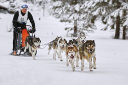 Kandersteg 2014 WM