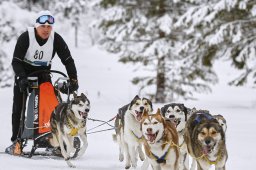 Kandersteg 2014 WM