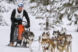 Kandersteg 2014 WM