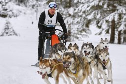 Kandersteg 2014 WM