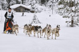 Kandersteg 2014 WM