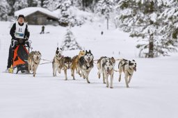 Kandersteg 2014 WM