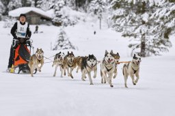 Kandersteg 2014 WM