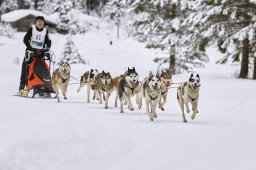 Kandersteg 2014 WM