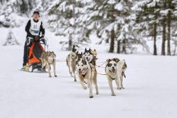 Kandersteg 2014 WM