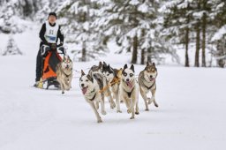 Kandersteg 2014 WM