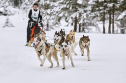 Kandersteg 2014 WM