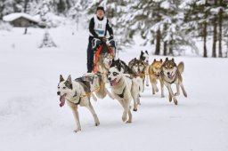 Kandersteg 2014 WM