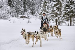Kandersteg 2014 WM