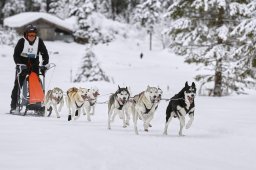 Kandersteg 2014 WM