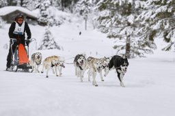 Kandersteg 2014 WM
