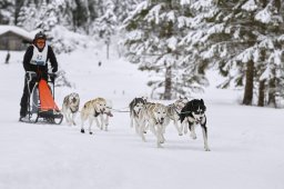 Kandersteg 2014 WM