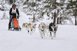 Kandersteg 2014 WM