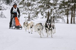 Kandersteg 2014 WM