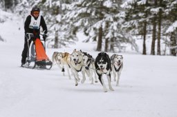 Kandersteg 2014 WM