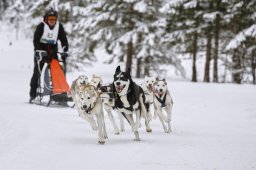 Kandersteg 2014 WM