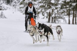 Kandersteg 2014 WM