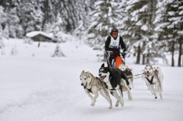 Kandersteg 2014 WM