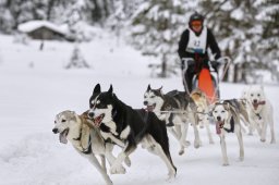 Kandersteg 2014 WM