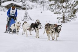 Kandersteg 2014 WM