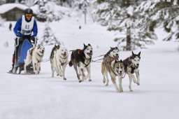 Kandersteg 2014 WM