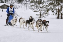 Kandersteg 2014 WM