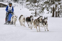 Kandersteg 2014 WM