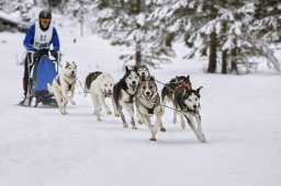 Kandersteg 2014 WM