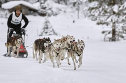 Kandersteg 2014 WM