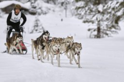 Kandersteg 2014 WM