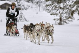 Kandersteg 2014 WM