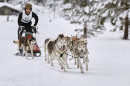 Kandersteg 2014 WM