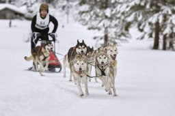 Kandersteg 2014 WM