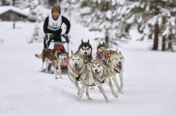 Kandersteg 2014 WM