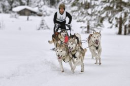 Kandersteg 2014 WM