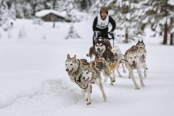 Kandersteg 2014 WM