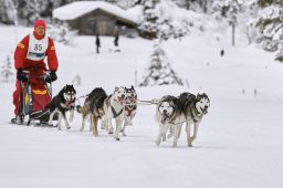 Kandersteg 2014 WM